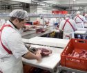 赴德国（拜仁）- 【工签+全家移民】大型肉厂 剔骨工项目